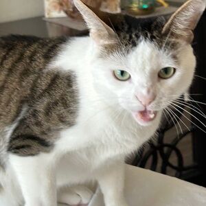 Meet your Posher, Camila